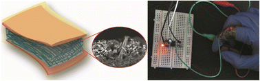 Graphical abstract: The benefits of combining 1D and 3D nanofillers in a piezocomposite nanogenerator for biomechanical energy harvesting