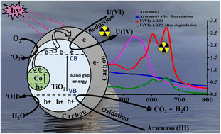 Graphical abstract: Cobalt doped titania-carbon nanosheets with induced oxygen vacancies for photocatalytic degradation of uranium complexes in radioactive wastes