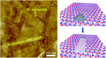 Graphical abstract: Surface etching and edge control of hexagonal boron nitride assisted by triangular Sn nanoplates