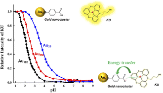 Graphical abstract: Tailoring the interaction between a gold nanocluster and a fluorescent dye by cluster size: creating a toolbox of range-adjustable pH sensors