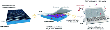 Graphical abstract: Fabrication of a 100 × 100 mm2 nanometer-thick graphite pellicle for extreme ultraviolet lithography by a peel-off and camphor-supported transfer approach