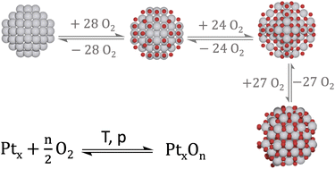 Graphical abstract: Pt nanoparticles under oxidizing conditions – implications of particle size, adsorption sites and oxygen coverage on stability