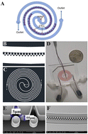 Graphical abstract: Double spiral chip-embedded micro-trapezoid filters (SMT filters) for the sensitive isolation of CTCs of prostate cancer by spectral detection