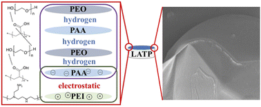 Graphical abstract: Effect of a layer-by-layer assembled ultra-thin film on the solid electrolyte and Li interface