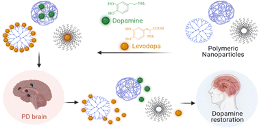 Graphical abstract: Polymeric nanoparticles for dopamine and levodopa replacement in Parkinson's disease