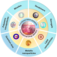 Graphical abstract: Functional nano-systems for transdermal drug delivery and skin therapy