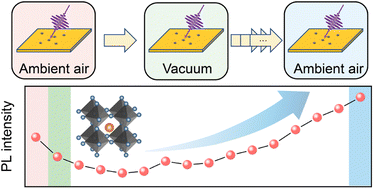 Graphical abstract: The role of atmospheric conditions in the nonradiative recombination in individual CH3NH3PbI3 perovskite crystals
