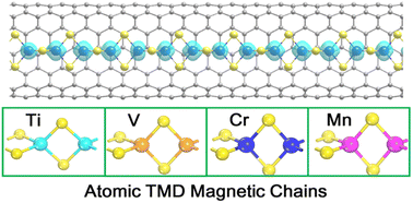 Graphical abstract: Transition metal dichalcogenide magnetic atomic chains