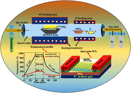 Graphical abstract: The growth mechanism and intriguing optical and electronic properties of few-layered HfS2