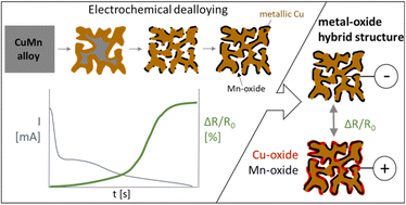 Graphical abstract: Porosity evolution and oxide formation in bulk nanoporous copper dealloyed from a copper–manganese alloy studied by in situ resistometry