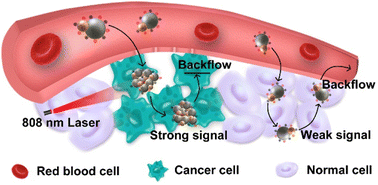 Graphical abstract: Acid-triggered in vivo aggregation of Janus nanoparticles for enhanced imaging-guided photothermal therapy