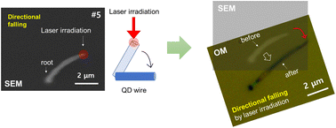 Graphical abstract: Direct 3D-printed CdSe quantum dots via scanning micropipette