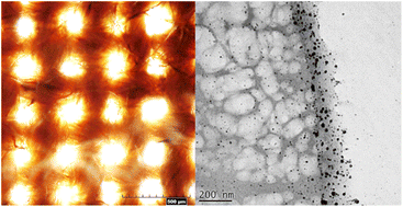 Graphical abstract: Self-induced transformation of raw cotton to a nanostructured primary cell wall for a renewable antimicrobial surface