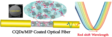 Graphical abstract: Smart green CQD@SiO2 hybrid coated optical fiber manifesting dual versatile absorptive and MIP features towards epinephrine detection