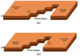 Graphical abstract: Antiferromagnetic skyrmion-based high speed diode