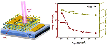 Graphical abstract: Sulfurization engineering of single-zone CVD vertical and horizontal MoS2 on p-GaN heterostructures for self-powered UV photodetectors