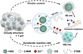 Graphical abstract: Synthesis of a crystalline zeolitic imidazole framework-8 nano-coating on single environment-sensitive viral particles for enhanced immune responses