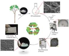 Graphical abstract: Facile sulfation of cellulose via recyclable ternary deep eutectic solvents for low-cost cellulose nanofibril preparation