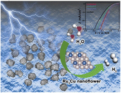 Graphical abstract: Facile synthesis of defect-rich RuCu nanoflowers for efficient hydrogen evolution reaction in alkaline media