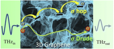 Graphical abstract: Terahertz charge transport dynamics in 3D graphene networks with localization and band regimes