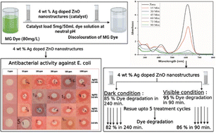 Graphical abstract: Surface functionalized silver-doped ZnO nanocatalyst: a sustainable cooperative catalytic, photocatalytic and antibacterial platform for waste treatment