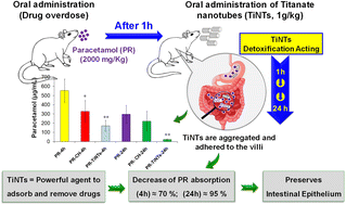 Graphical abstract: Titanate nanotubes as an efficient oral detoxifying agent against drug overdose: application in rat acetaminophen poisoning