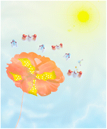 Graphical abstract: A hydrangea-like nitrogen-doped ZnO/BiOI nanocomposite for photocatalytic degradation of tetracycline hydrochloride