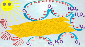 Graphical abstract: Revisiting the roles of dopants in g-C3N4 nanostructures for piezo-photocatalytic production of H2O2: a case study of selenium and sulfur