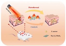 Graphical abstract: Synthesis of Ti3C2Tx/MnO2 composites for synergistic catalytic/photothermal-based bacterial inhibition