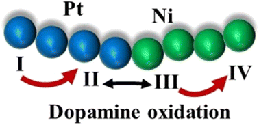 Graphical abstract: Au–Pt–Ni nanochains as dopamine catalysts: role of elements and their spatial distribution