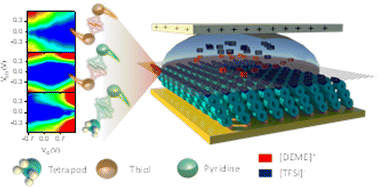 Graphical abstract: Electrostatic Fermi level tuning in large-scale self-assembled monolayers of oligo(phenylene–ethynylene) derivatives