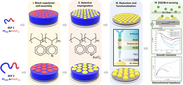 Graphical abstract: Amplified EQCM-D detection of extracellular vesicles using 2D gold nanostructured arrays fabricated by block copolymer self-assembly