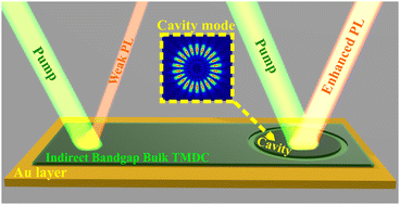 Graphical abstract: Indirect bandgap MoSe2 resonators for light-emitting nanophotonics