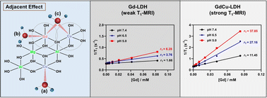 Graphical abstract: The adjacent effect between Gd(iii) and Cu(ii) in layered double hydroxide nanoparticles synergistically enhances T1-weighted magnetic resonance imaging contrast