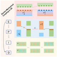 Graphical abstract: Nonvolatile electro-mechanical coupling in two-dimensional lattices