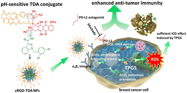 Graphical abstract: cRGD-modified nanoparticles of multi-bioactive agent conjugate with pH-sensitive linkers and PD-L1 antagonist for integrative collaborative treatment of breast cancer