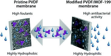 Graphical abstract: Efficacy of MOF-199 in improvement of permeation, morphological, antifouling and antibacterial characteristics of polyvinylidene fluoride membranes