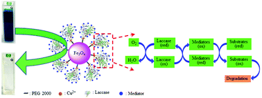 Graphical abstract: Improved performance of immobilized laccase for catalytic degradation of synthetic dyes using redox mediators