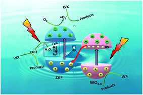 Graphical abstract: Engineering an oxygen-vacancy-mediated step-scheme charge carrier dynamic coupling WO3−X/ZnFe2O4 heterojunction for robust photo-Fenton-driven levofloxacin detoxification