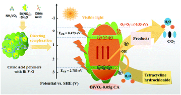 Graphical abstract: Direct complexation of citric acid to synthesize high-efficiency bismuth vanadate through molten polymerization route for the degradation of tetracycline hydrochloride under visible light irradiation