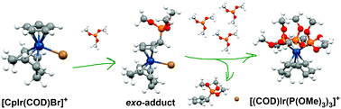 Graphical abstract: Teaching cyclopentadienyl how to leave: a case study of the [CpIr(COD)Br]+ complex