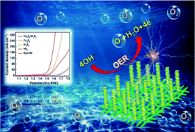 Graphical abstract: Boosting the oxygen evolution reaction performance through defect and lattice distortion engineering