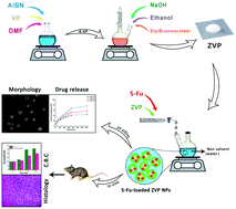Graphical abstract: Synthesis and performance evaluation of 5-fluorouracil-loaded zwitterionic poly(4-vinylpyridine) nanoparticles
