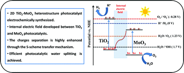 Graphical abstract: Rational design of a 2D TiO2–MoO3 step-scheme heterostructure for boosted photocatalytic overall water splitting