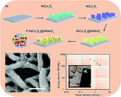 Graphical abstract: The in situ construction of oxygen-vacancy-rich NiCo2S4@NiMoO4/Ni2P multilevel nanoarrays for high-performance aqueous Zn-ion batteries