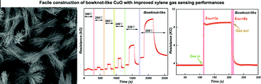 Graphical abstract: Facile construction of bowknot-like CuO architectures for improved xylene gas sensing properties