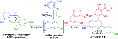 Graphical abstract: Total synthesis of myristinins A–F and 3′-hydroxy-5,7-dimethoxy-4-O-2′-cycloflavan by iterative generation of o-quinone methides