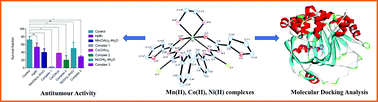 Graphical abstract: In vitro and In silico anticancer activities of Mn(ii), Co(ii), and Ni(ii) complexes: synthesis, characterization, crystal structures, and DFT studies