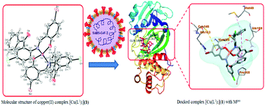 Graphical abstract: Synthesis and characterization of novel copper(ii) complexes as potential drug candidates against SARS-CoV-2 main protease