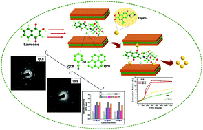 Graphical abstract: Lawsone-bentonite hybrid systems for pH-dependent sustained release of ciprofloxacin